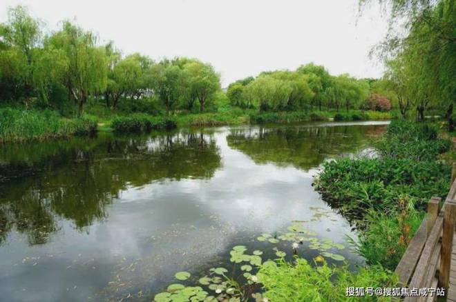 九游官網入口：楊浦天玥-(越秀·楊浦天玥)首頁網站-2024年最新價格(圖17)