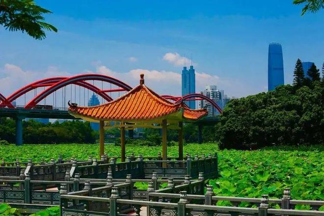 九游體育：海歸特價(jià)房??仁恒深之源官方營銷中心官方電話?售樓處團(tuán)購優(yōu)惠(圖10)