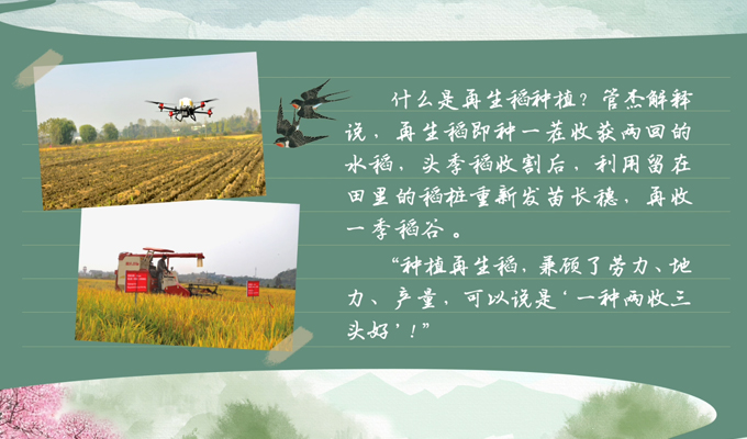 春耕時節(jié) 我們在行動_光明網(wǎng)(圖2)