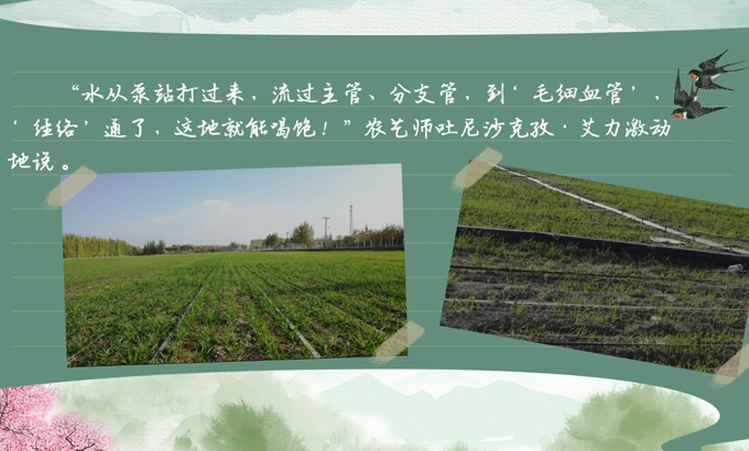 春耕時節(jié) 我們在行動_光明網(wǎng)(圖7)