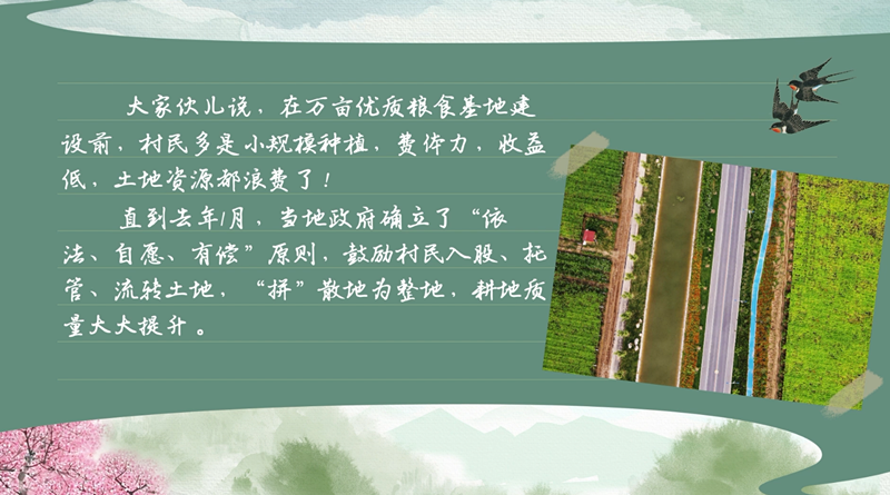 春耕時節(jié) 我們在行動_光明網(wǎng)(圖31)