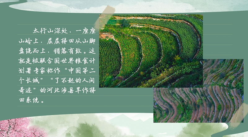 春耕時節(jié) 我們在行動_光明網(wǎng)(圖35)