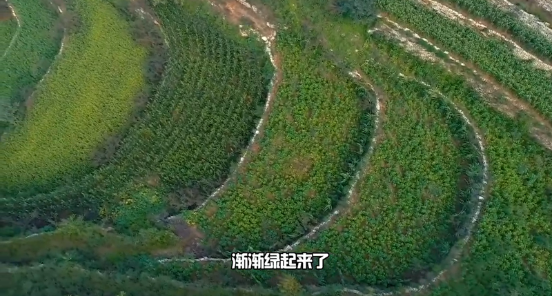 春耕時節(jié) 我們在行動_光明網(wǎng)(圖37)