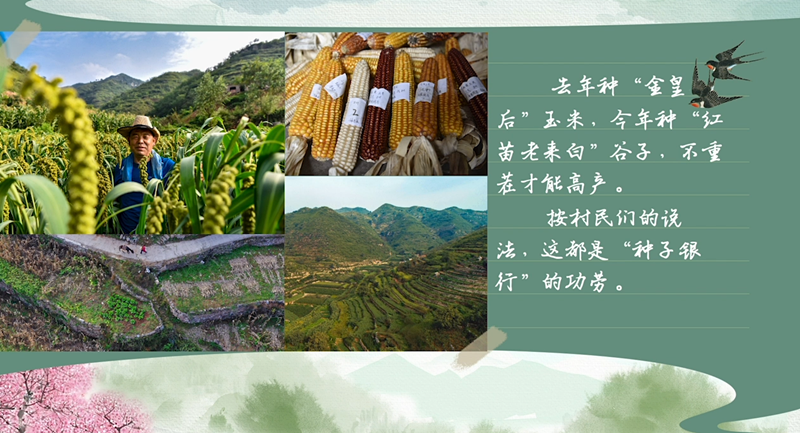 春耕時節(jié) 我們在行動_光明網(wǎng)(圖36)