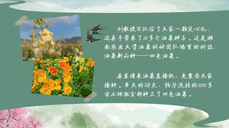 春耕時節(jié) 我們在行動_光明網(wǎng)(圖42)