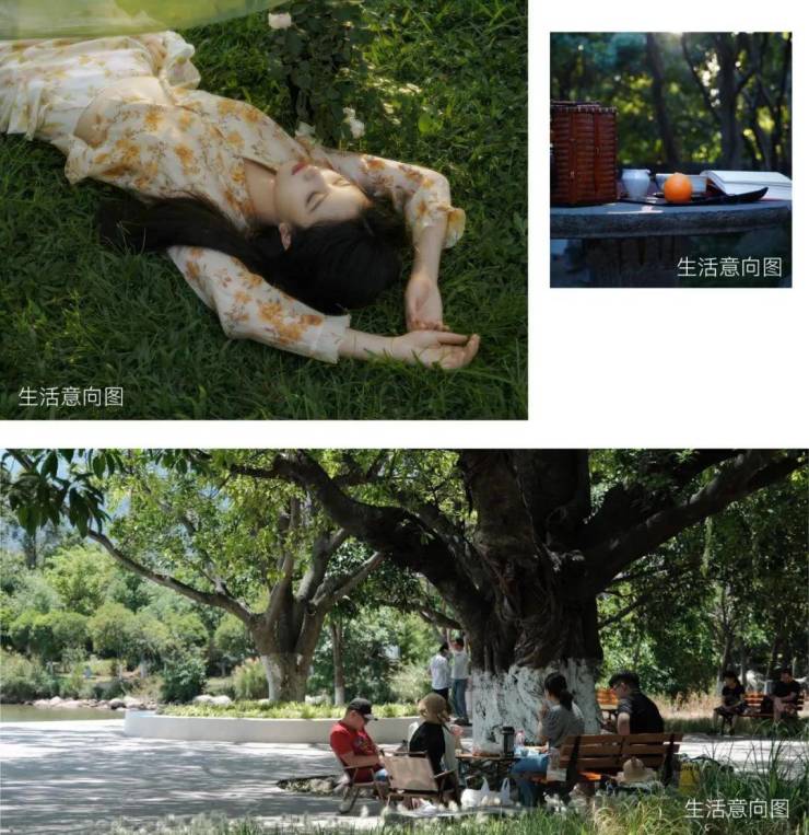 綠城沁香園【官方認證】綠城沁香園售樓處電線小時熱線樓盤測評+最新房價(圖16)