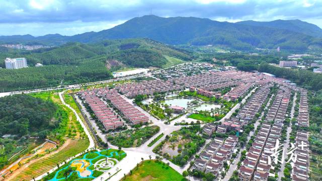 揭秘廣東“億元村”：這些村為什么比上市公司還能賺？(圖7)